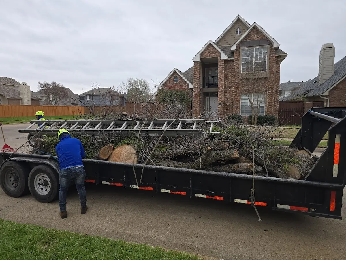 Expert Tree Fertilization with proper safety equipment in Emerson